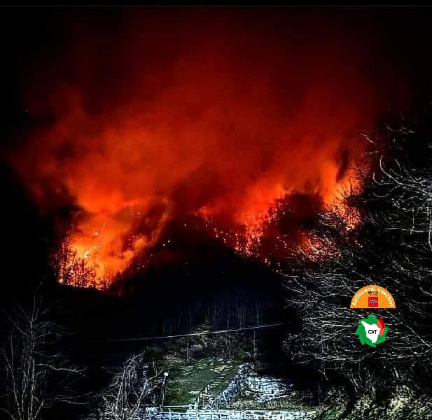 Immagine Pontito (PT), l'incendio è sotto controllo. A fuoco 20 ettari di bosco di castagno